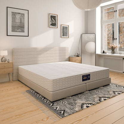 Vzmetnica Ergorest Auralis