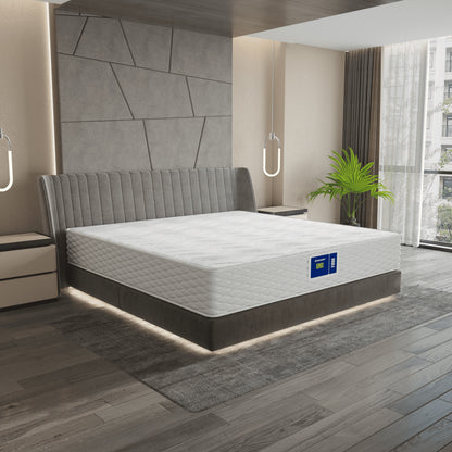 Vzmetnica Ergorest Ionix