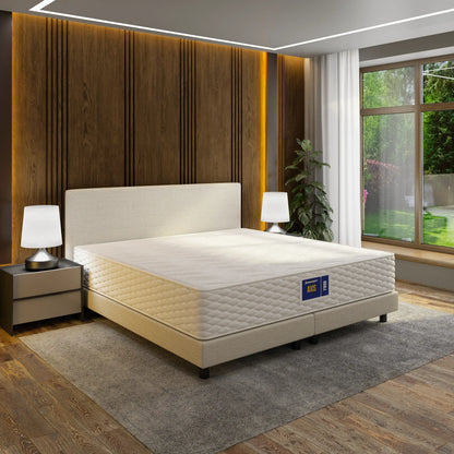 Vzmetnica Ergorest Axis