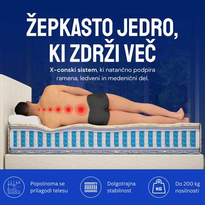 Vzmetnica Ergorest Axis