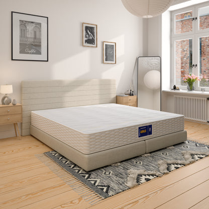 Vzmetnica Ergorest Auralis